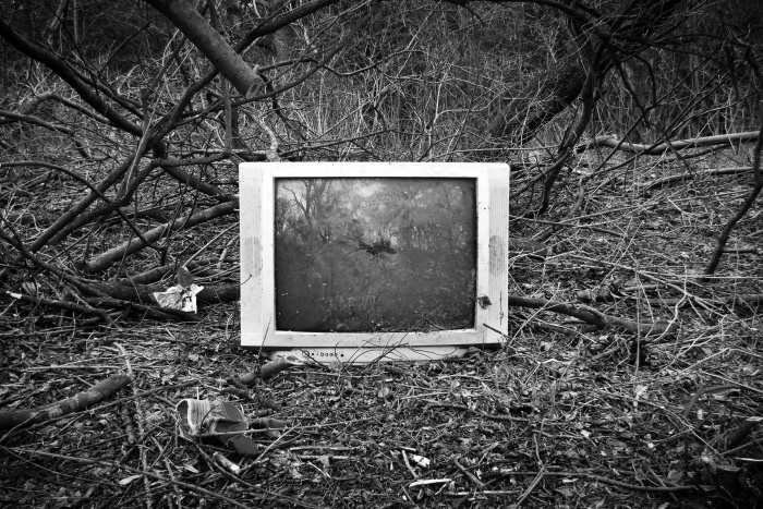 20100320P1050201.jpg - TV natura