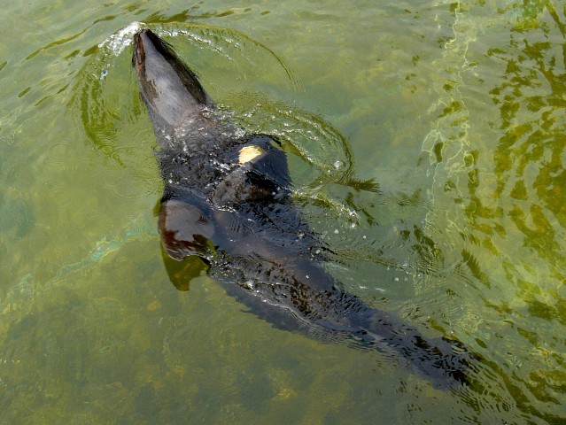 ZOO20060506101155.jpg