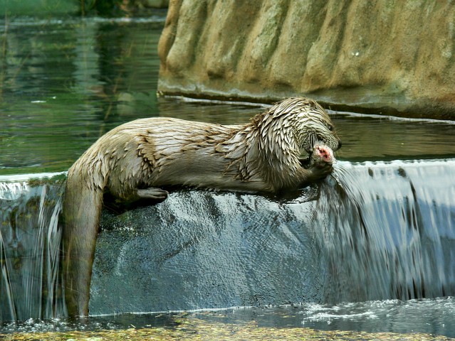 ZOO20060506150928.jpg