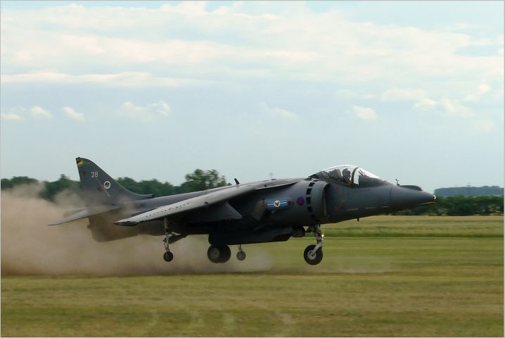 Harrier1.jpg