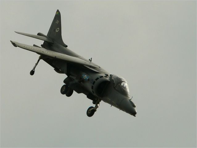 Harrier2.jpg