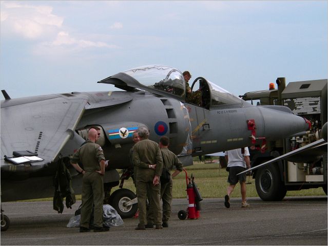 Harrier3.jpg