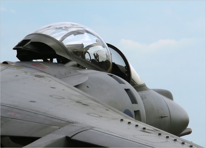 harrier5.jpg